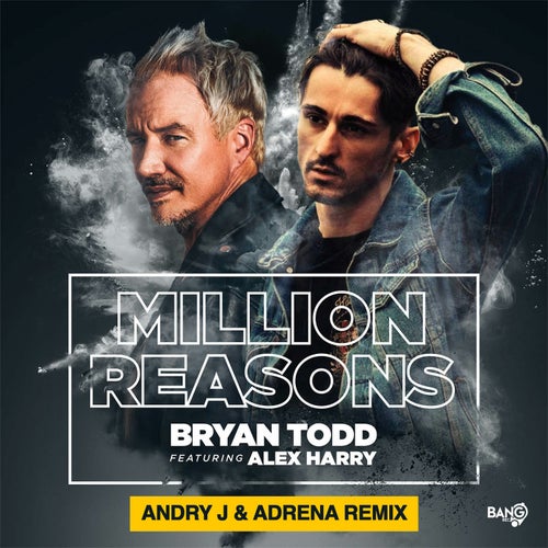 Million Reasons [Andry J & Adrena REMIX]