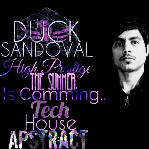 The Summer Is Comming Apstract : Duck Sandova
