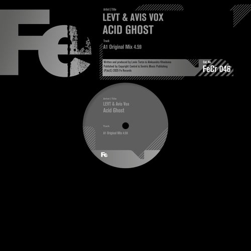 Acid Ghost (Original Mix)