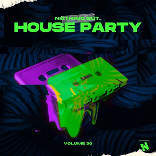 Nothing But... House Party, Vol. 30