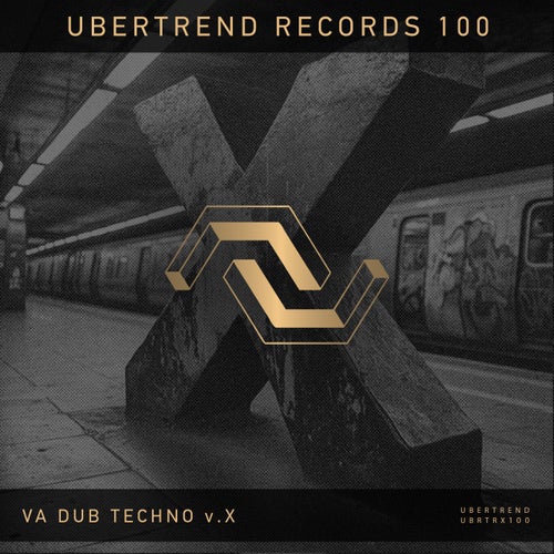V.A. Dub Techno v.X