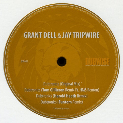 Dubtronics