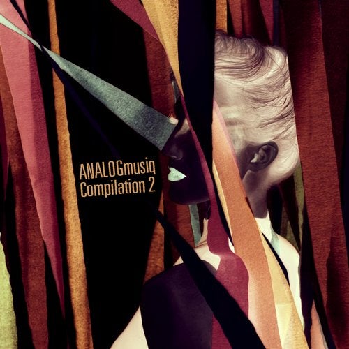 Cover art for ANALOGmusiq Compilation 2