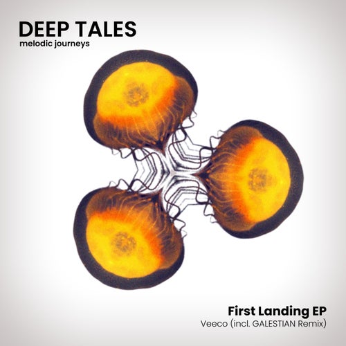 Cover art for First Landing