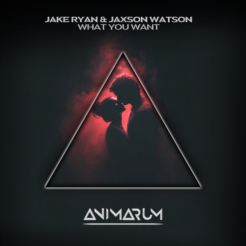 What You Want (Extended Mix)