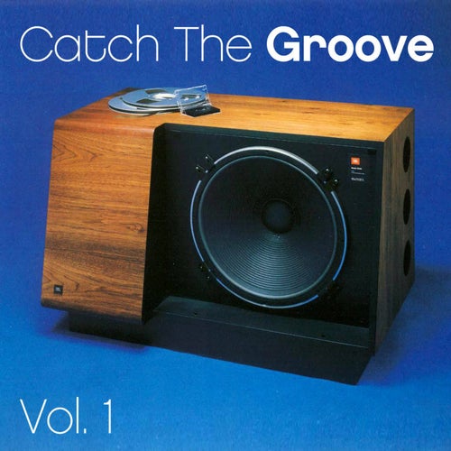 Catch the Groove - Vol. 1