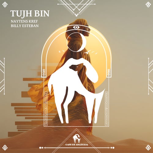 Tujh Bin