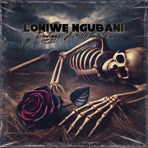Loniwe Ngubani
