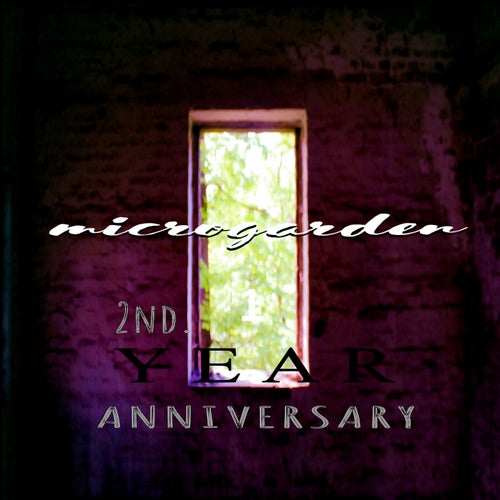 Cover art for 2nd. Year Anniversary VA