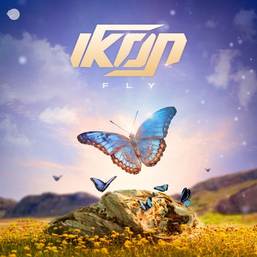 Fly
