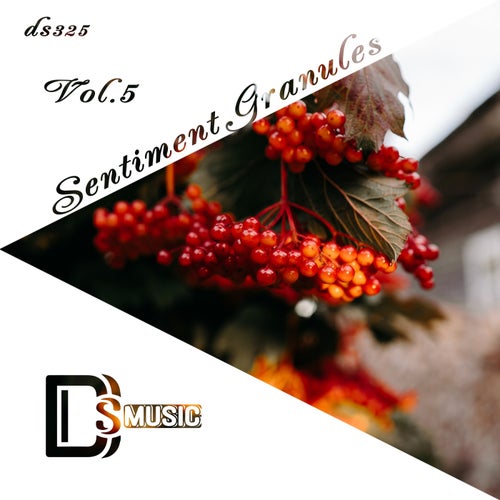 Sentiment Granules, Vol. 5