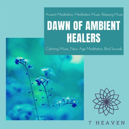 Cover art for Dawn Of Ambient Healers (Ancient Meditation, Meditation Music, Relaxing Music, Calming Music, New Age Meditation, Bird Sounds)