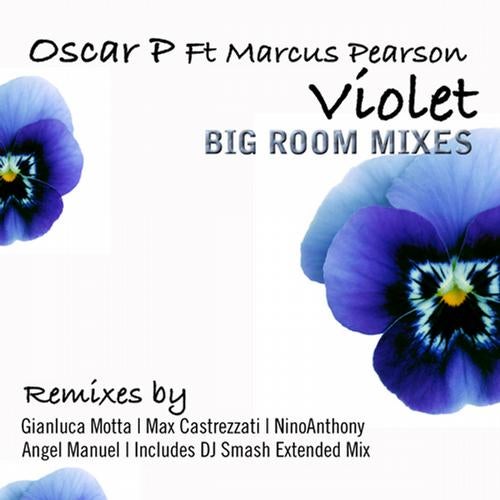 Violet - Big Room Mixes