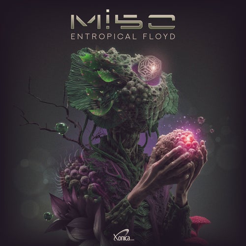 Mi5o - Entropical Floyd (2025) Mi5o - Entropical Floyd (2025)