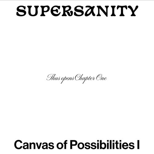 Canvas of Possibilities I