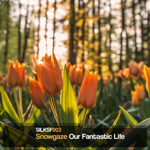 Our Fantastic Life