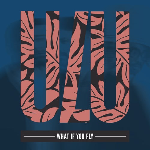 What If You Fly