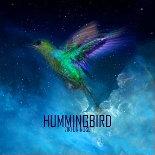 HUMMINGBIRD CHART