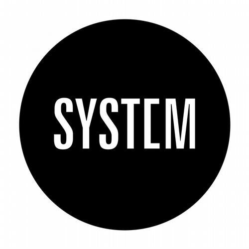 In My System (Make You Move)