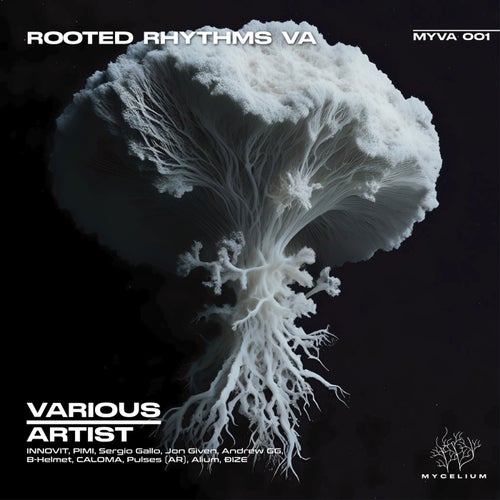 VA - Rooted Rythms VA MYVA001