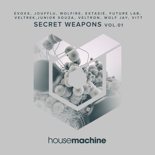 Cover art for Secret Weapons