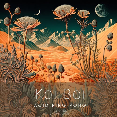 Koi Boi - Acid Ping Pong (2024)