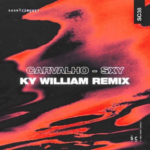 SXY (Ky William Remix)