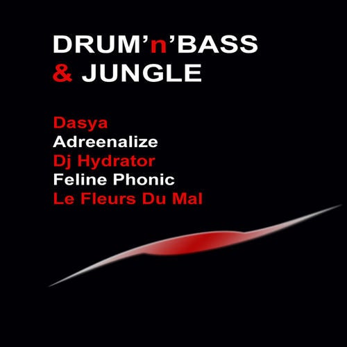 Drum & Bass Associate Volume 1