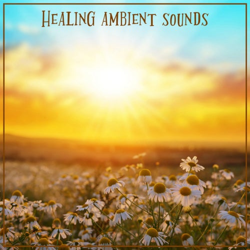 Healing Ambient Sounds