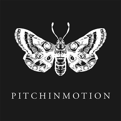 Pitch In Motion