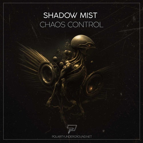 Chaos Control