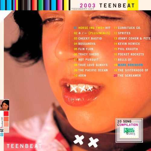 2003 Teenbeat Sampler