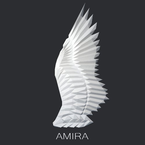 Amira Records