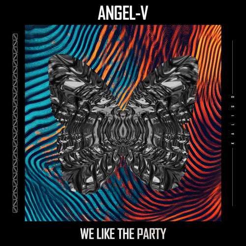 We Like the Party