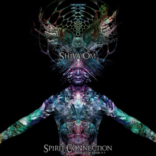 Spirit Connection. Remixes de xamãs, Pt. 1