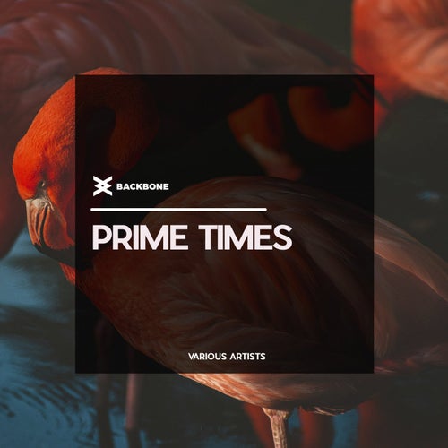Prime Times