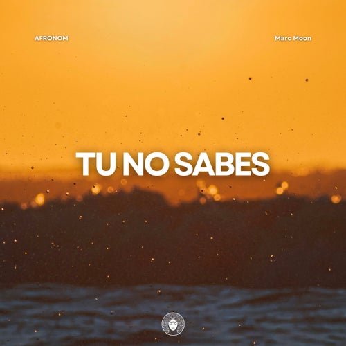 Tu No Sabes (Extended Mix)