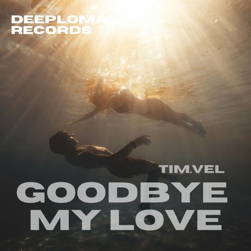 Goodbye My Love