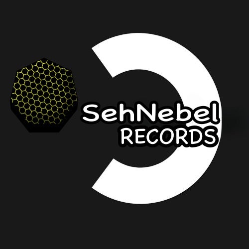 SehNebel Records