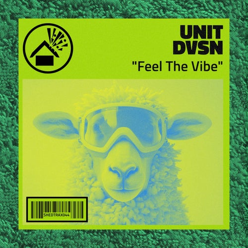 Feel The Vibe