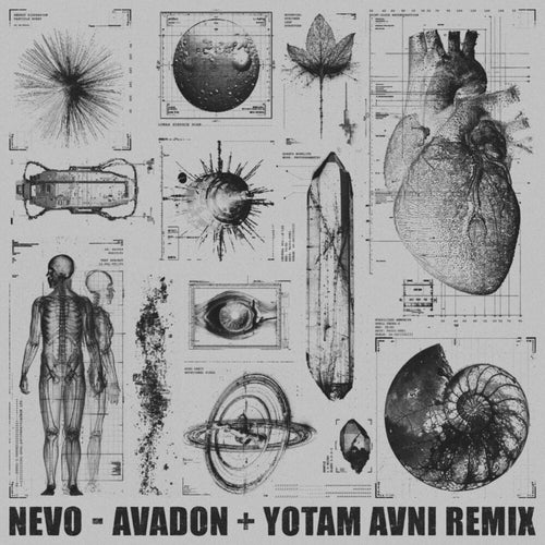 Avadon