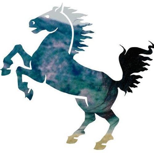 Steve Stallion