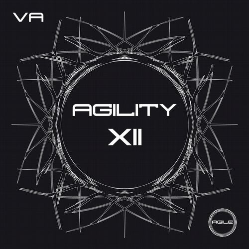 Cover art for Agility XII