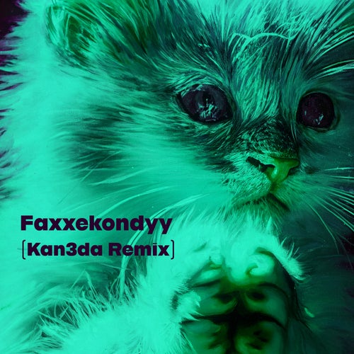 Faxxekondyy
