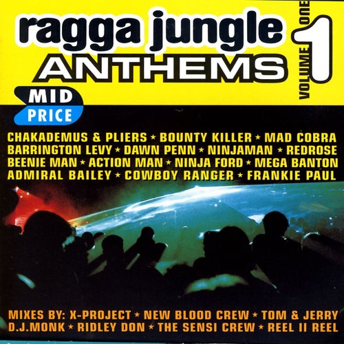 Ragga Jungle Anthems Vol. 1