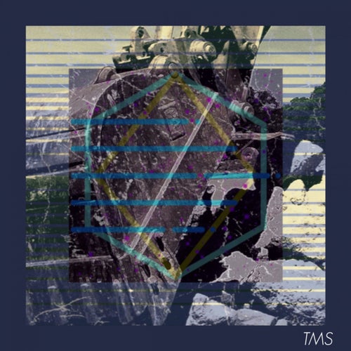 TMS