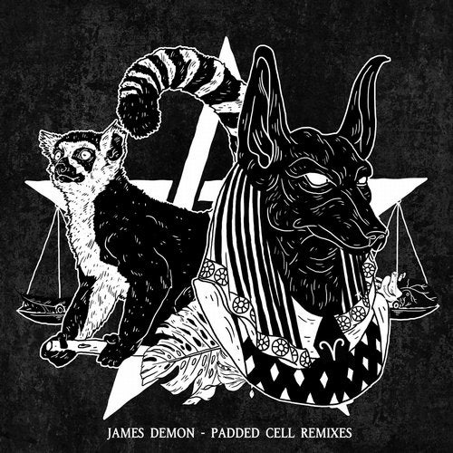 Cover art for Padded Cell Remixes
