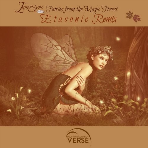 Cover art for Fairies From The Magic Forest (Etasonic Remix)