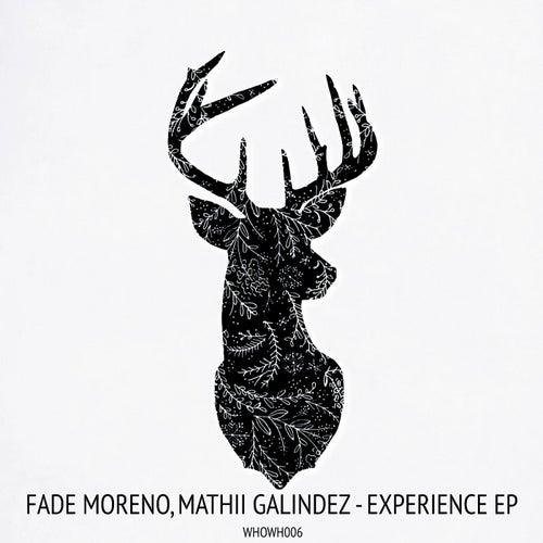 Experience EP