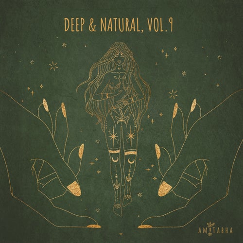 VA - Deep & Natural, Vol. 9 AMIT051